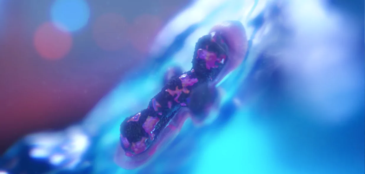 Replimune MOA closeup 