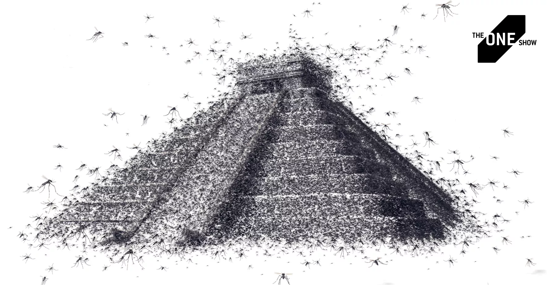 Chikungunya campaign concept